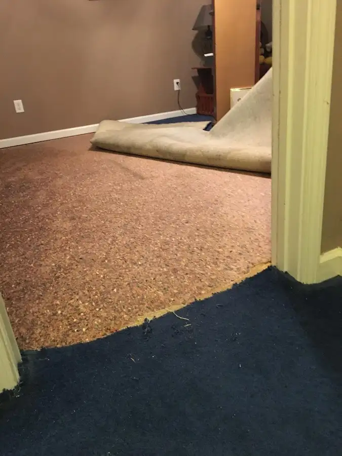 Carpet pad removal revealing water damage during Water Mitigation Services in Belton