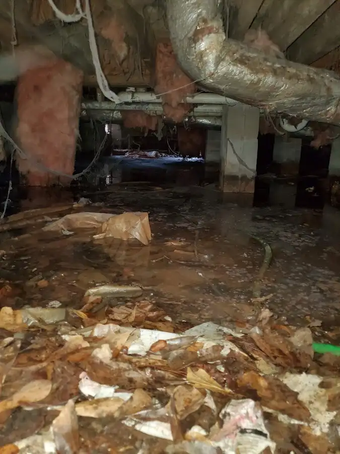 Crawl space flood assessment for Commercial Water Damage Restoration in Belton
