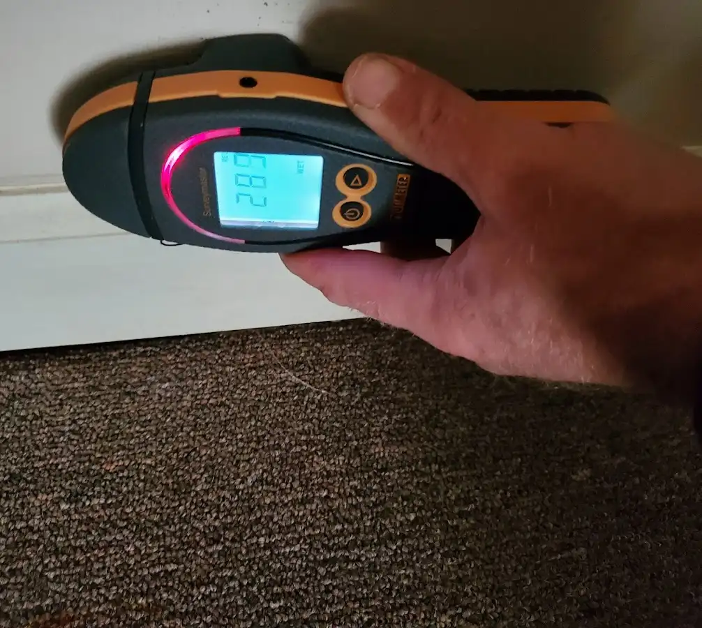 Moisture detection at baseboard during Mold Inspection & Testing in Belton